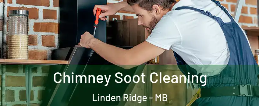  Chimney Soot Cleaning Linden Ridge - MB