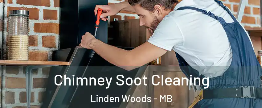  Chimney Soot Cleaning Linden Woods - MB