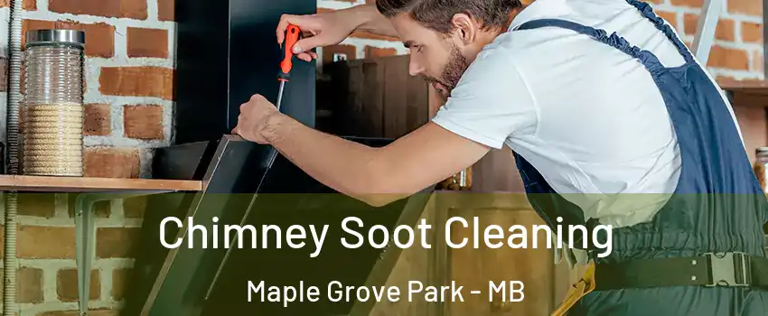  Chimney Soot Cleaning Maple Grove Park - MB