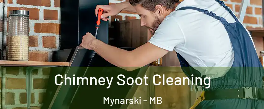 Chimney Soot Cleaning Mynarski - MB