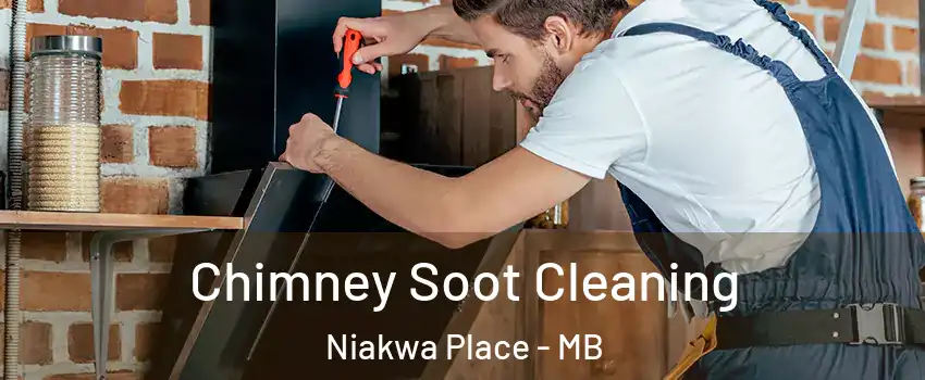  Chimney Soot Cleaning Niakwa Place - MB