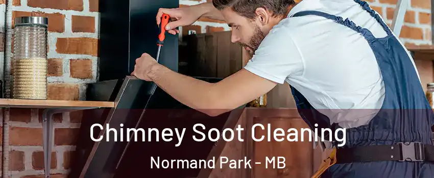  Chimney Soot Cleaning Normand Park - MB