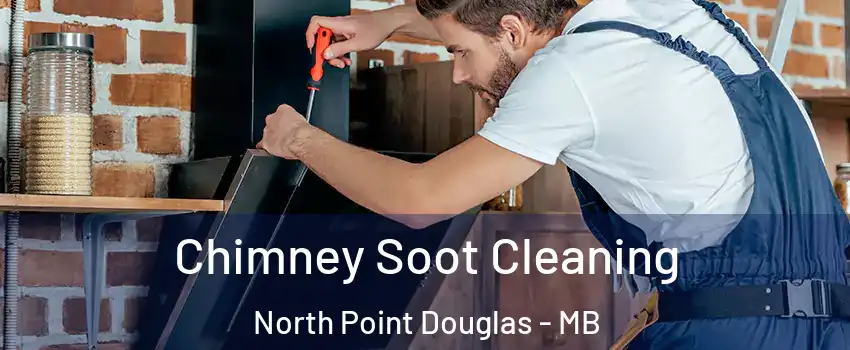  Chimney Soot Cleaning North Point Douglas - MB