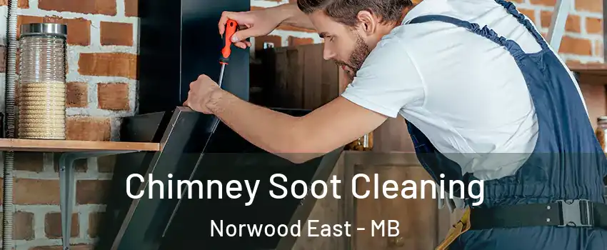  Chimney Soot Cleaning Norwood East - MB