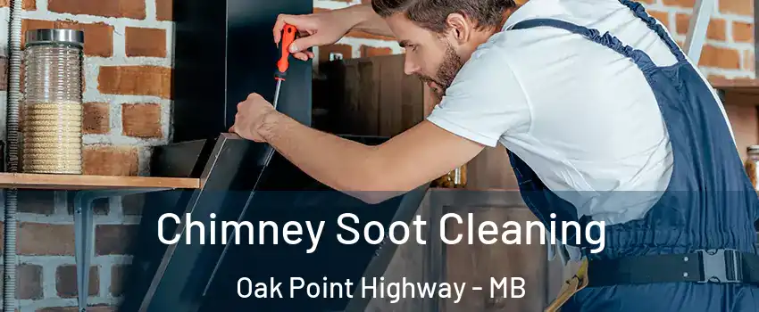  Chimney Soot Cleaning Oak Point Highway - MB