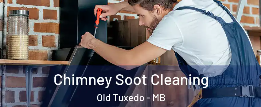 Chimney Soot Cleaning Old Tuxedo - MB