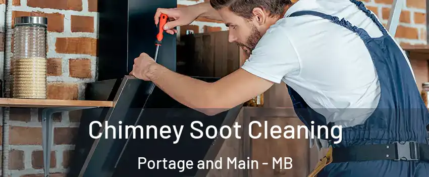  Chimney Soot Cleaning Portage and Main - MB
