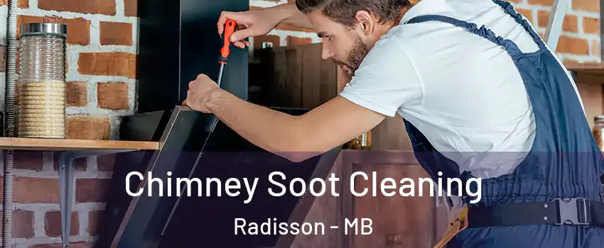  Chimney Soot Cleaning Radisson - MB