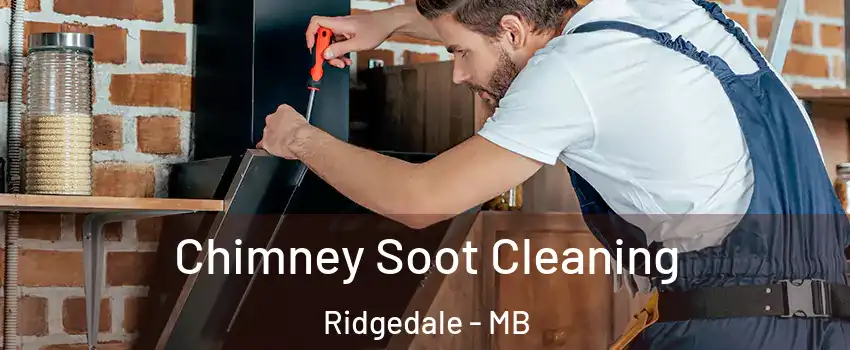  Chimney Soot Cleaning Ridgedale - MB