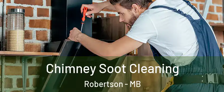  Chimney Soot Cleaning Robertson - MB