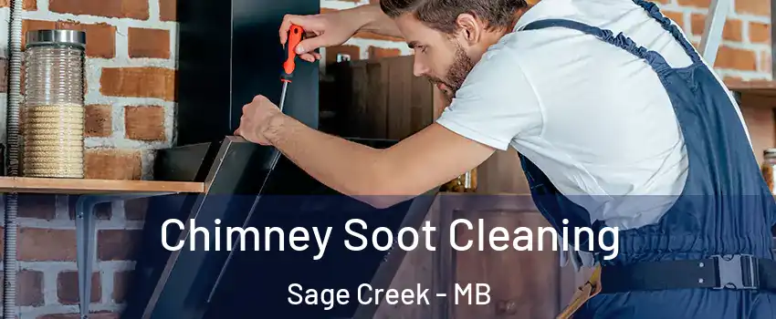  Chimney Soot Cleaning Sage Creek - MB