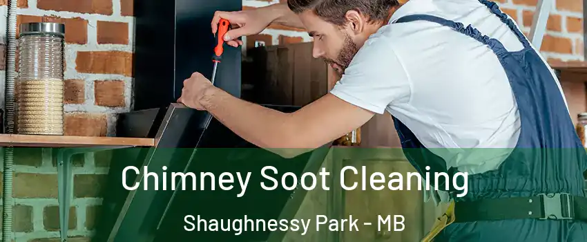  Chimney Soot Cleaning Shaughnessy Park - MB