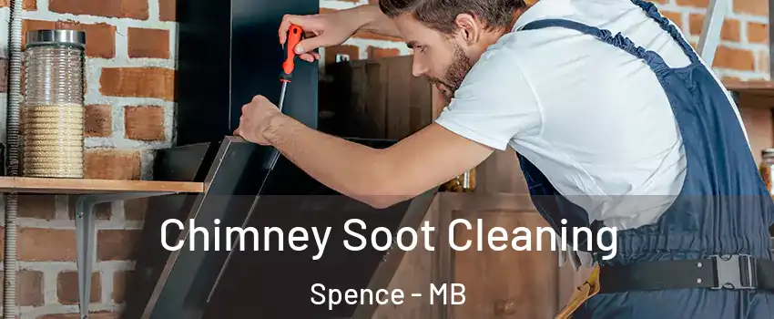  Chimney Soot Cleaning Spence - MB
