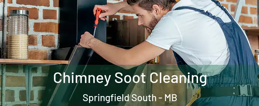  Chimney Soot Cleaning Springfield South - MB