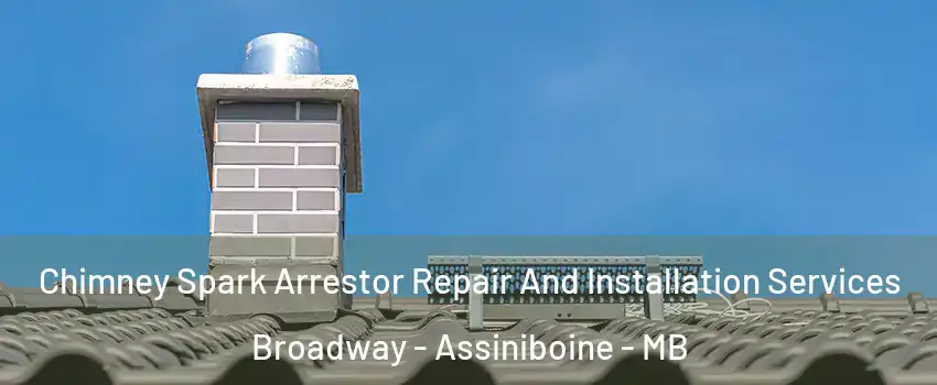  Chimney Spark Arrestor Repair And Installation Services Broadway - Assiniboine - MB