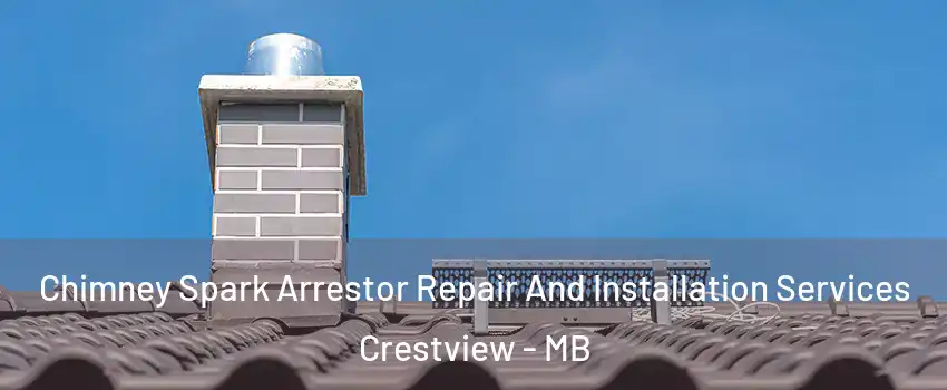  Chimney Spark Arrestor Repair And Installation Services Crestview - MB