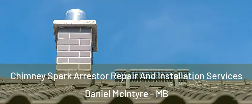  Chimney Spark Arrestor Repair And Installation Services Daniel McIntyre - MB