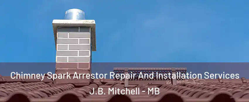  Chimney Spark Arrestor Repair And Installation Services J.B. Mitchell - MB