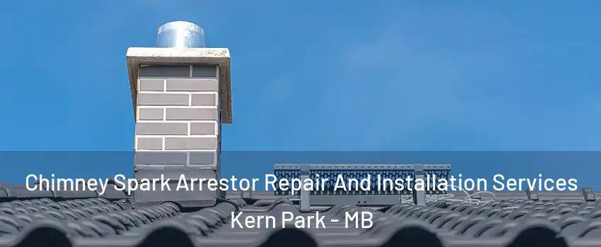  Chimney Spark Arrestor Repair And Installation Services Kern Park - MB