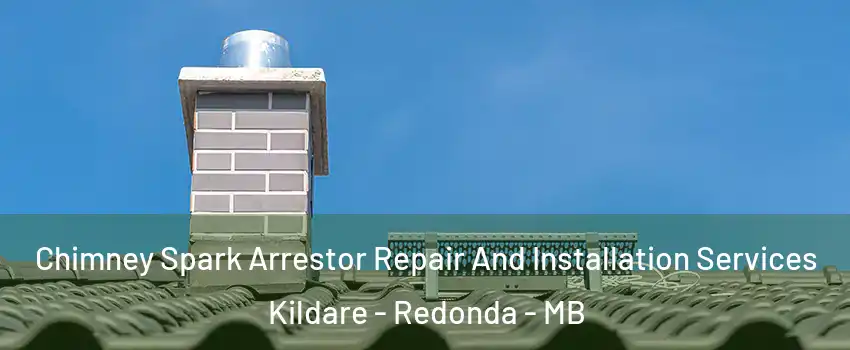  Chimney Spark Arrestor Repair And Installation Services Kildare - Redonda - MB