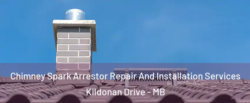  Chimney Spark Arrestor Repair And Installation Services Kildonan Drive - MB