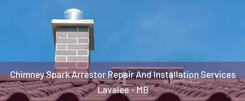  Chimney Spark Arrestor Repair And Installation Services Lavalee - MB