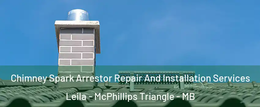  Chimney Spark Arrestor Repair And Installation Services Leila - McPhillips Triangle - MB