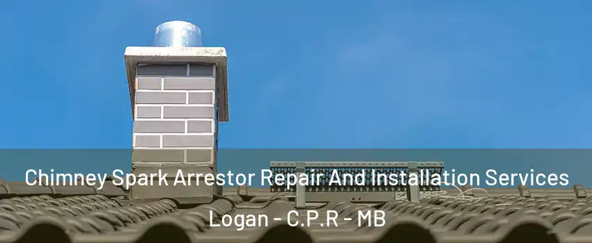  Chimney Spark Arrestor Repair And Installation Services Logan - C.P.R - MB