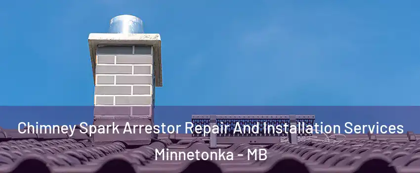  Chimney Spark Arrestor Repair And Installation Services Minnetonka - MB
