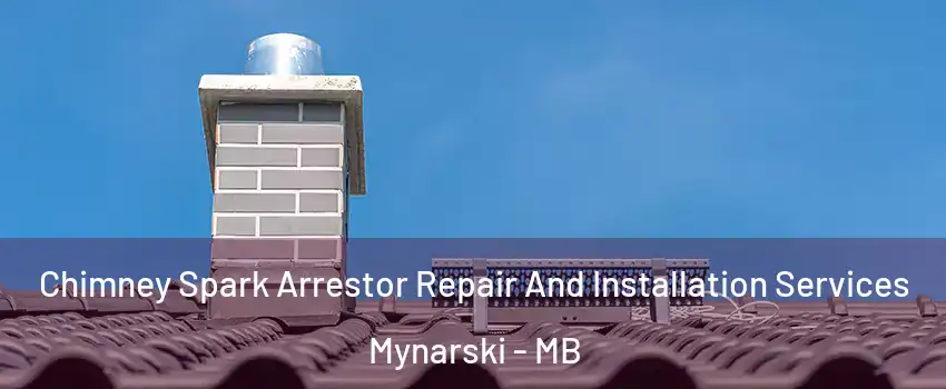  Chimney Spark Arrestor Repair And Installation Services Mynarski - MB