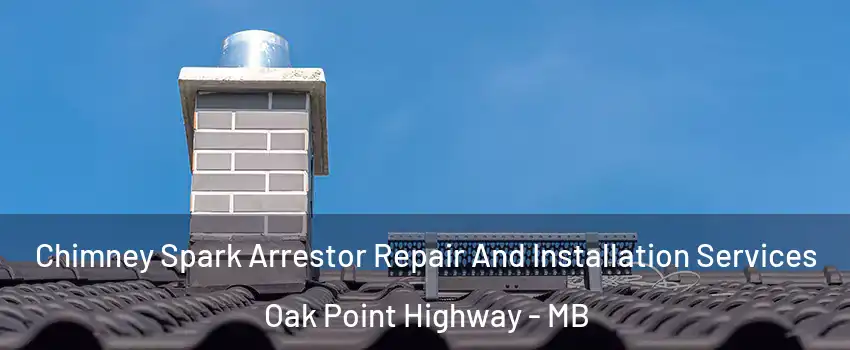  Chimney Spark Arrestor Repair And Installation Services Oak Point Highway - MB