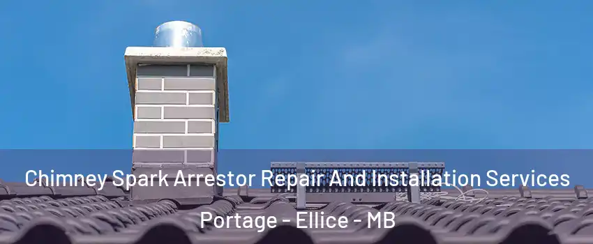  Chimney Spark Arrestor Repair And Installation Services Portage - Ellice - MB