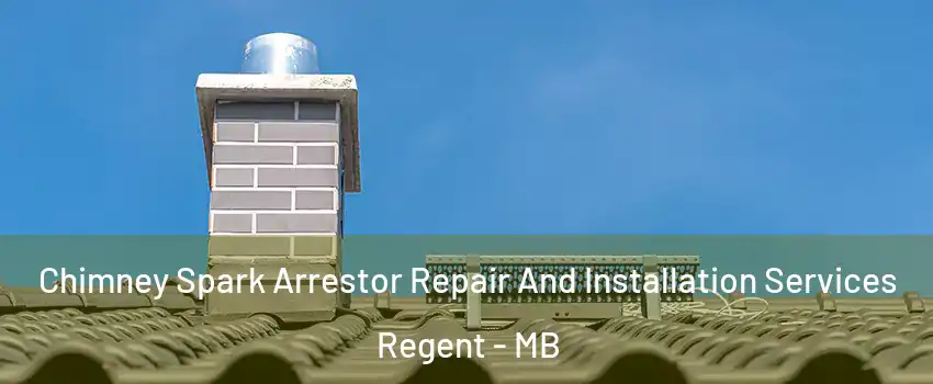  Chimney Spark Arrestor Repair And Installation Services Regent - MB