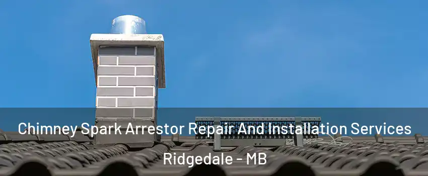  Chimney Spark Arrestor Repair And Installation Services Ridgedale - MB