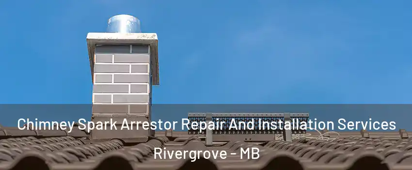  Chimney Spark Arrestor Repair And Installation Services Rivergrove - MB