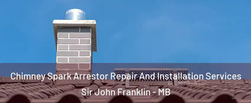  Chimney Spark Arrestor Repair And Installation Services Sir John Franklin - MB