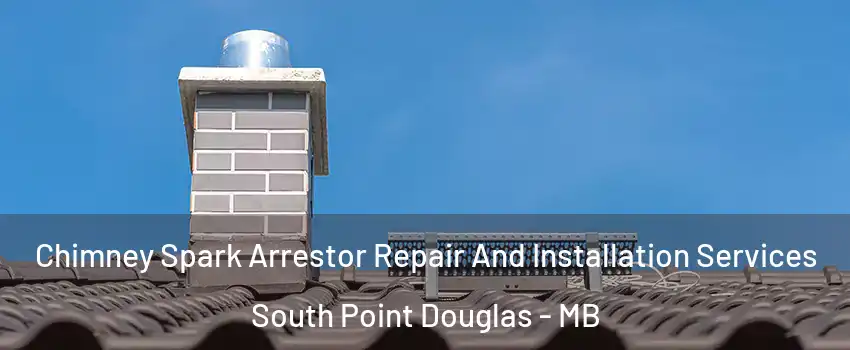  Chimney Spark Arrestor Repair And Installation Services South Point Douglas - MB