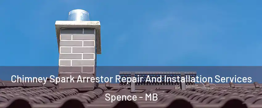  Chimney Spark Arrestor Repair And Installation Services Spence - MB