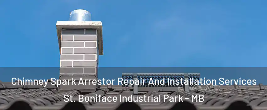  Chimney Spark Arrestor Repair And Installation Services St. Boniface Industrial Park - MB