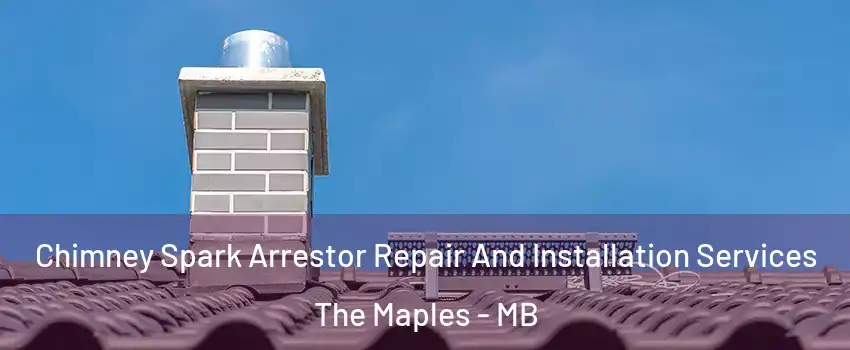  Chimney Spark Arrestor Repair And Installation Services The Maples - MB