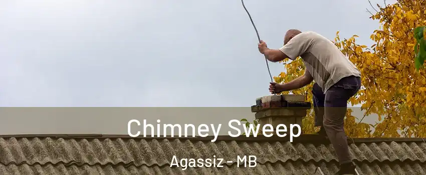  Chimney Sweep Agassiz - MB