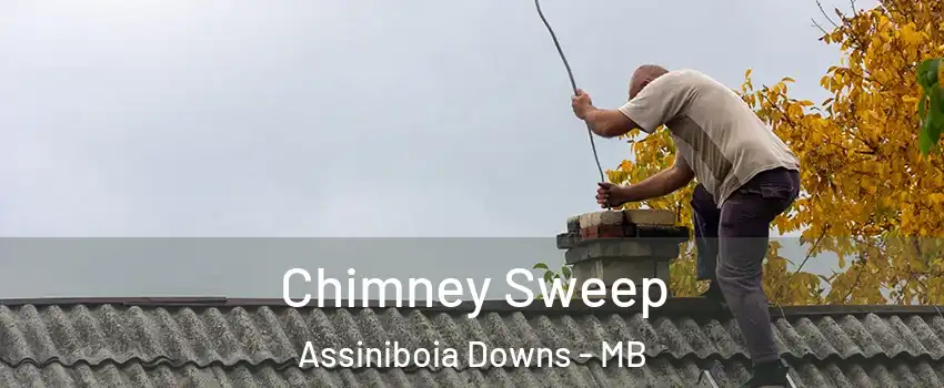  Chimney Sweep Assiniboia Downs - MB