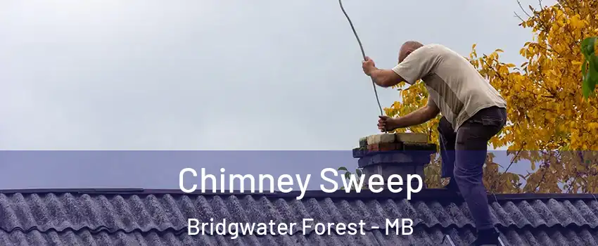  Chimney Sweep Bridgwater Forest - MB