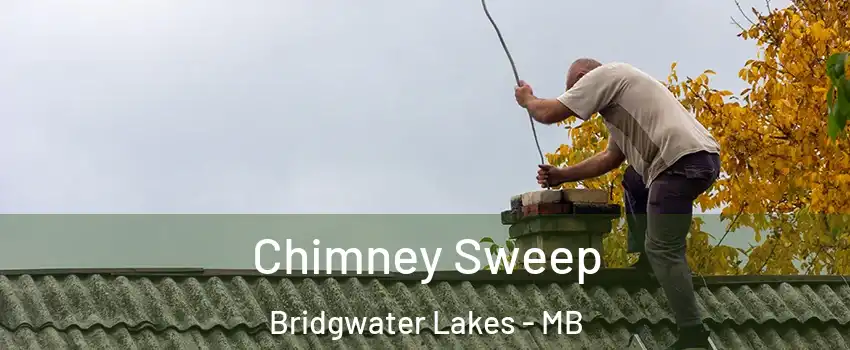  Chimney Sweep Bridgwater Lakes - MB