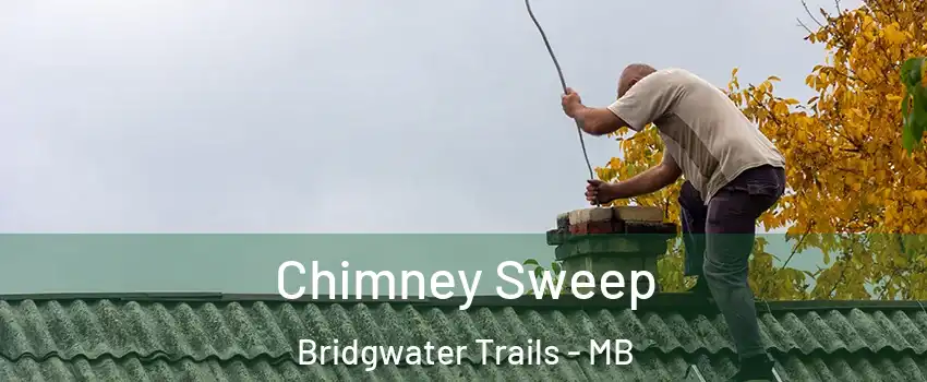  Chimney Sweep Bridgwater Trails - MB