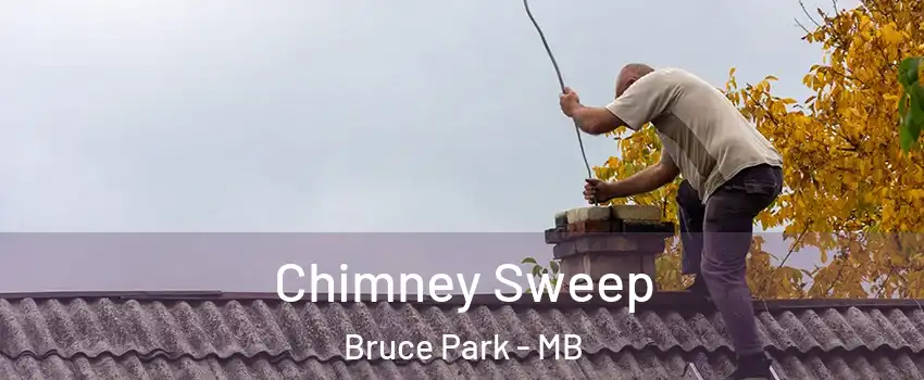  Chimney Sweep Bruce Park - MB