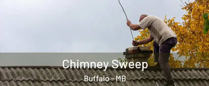  Chimney Sweep Buffalo - MB