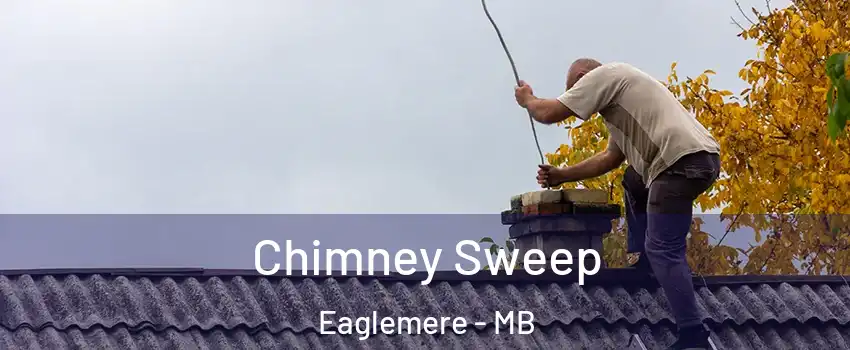  Chimney Sweep Eaglemere - MB