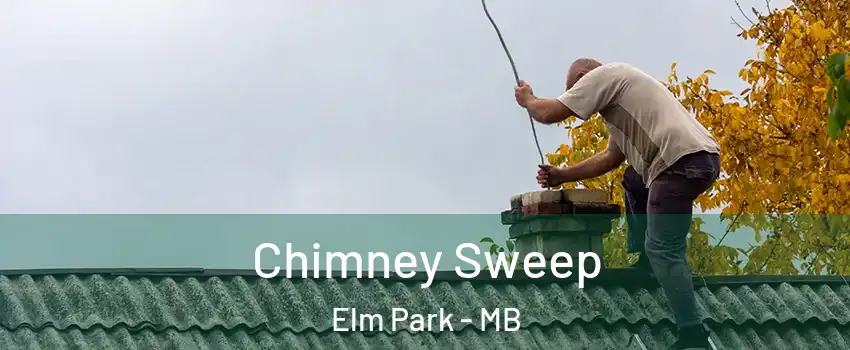  Chimney Sweep Elm Park - MB