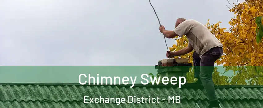  Chimney Sweep Exchange District - MB